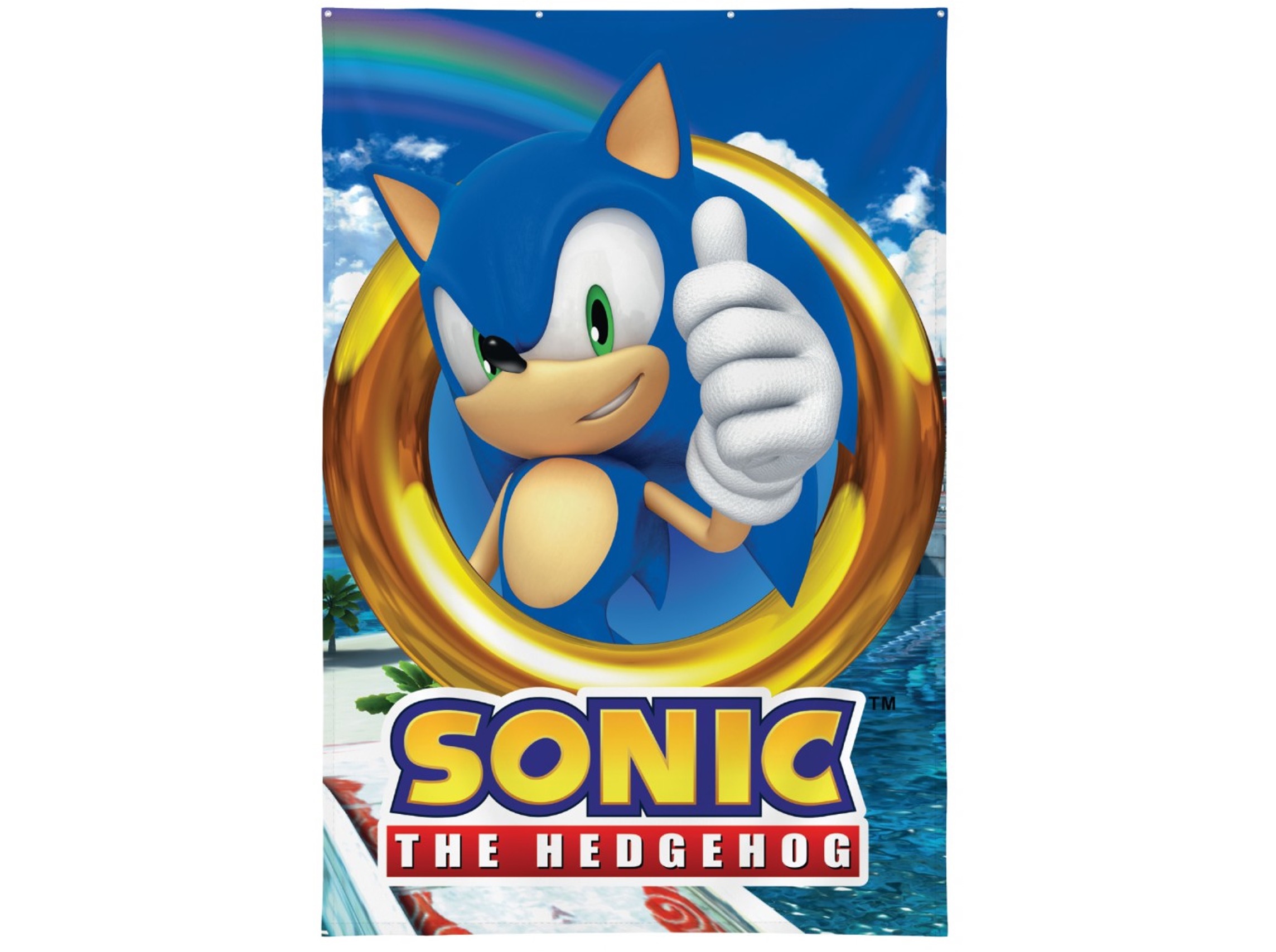 POSTER TECIDO SONIC