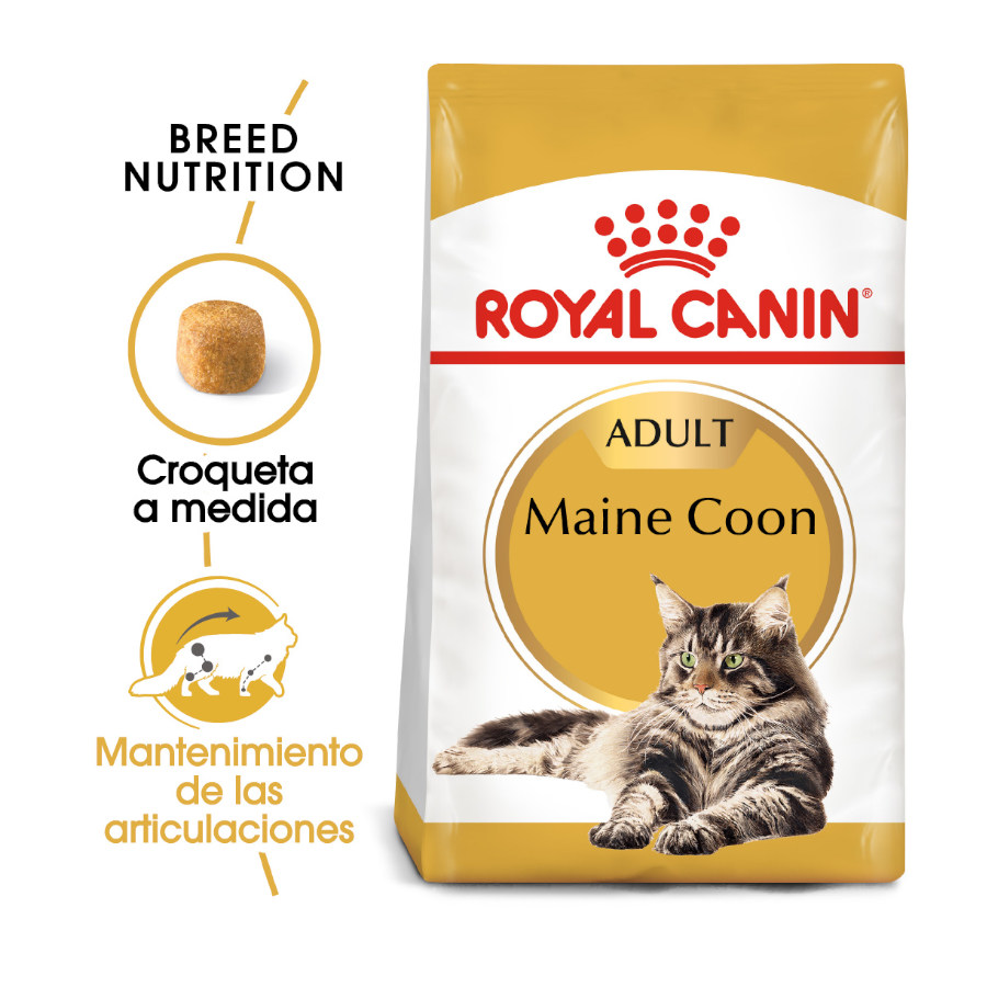Ração Royal Canin Adult Maine Coon para gatos