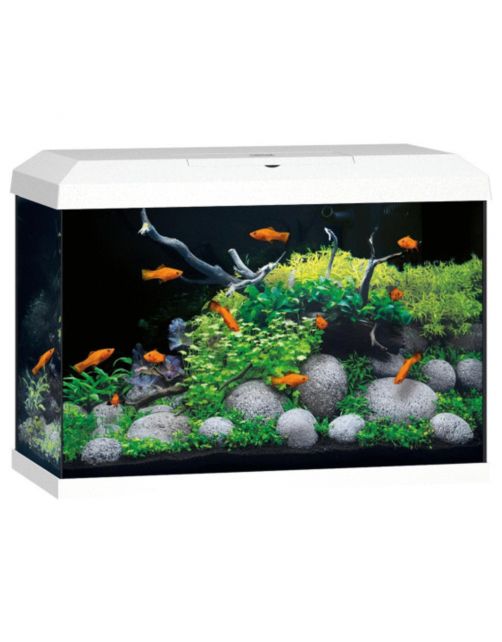 Juwel Aquarium Primo 70 2.0 62x32x41 cm - Aquaria