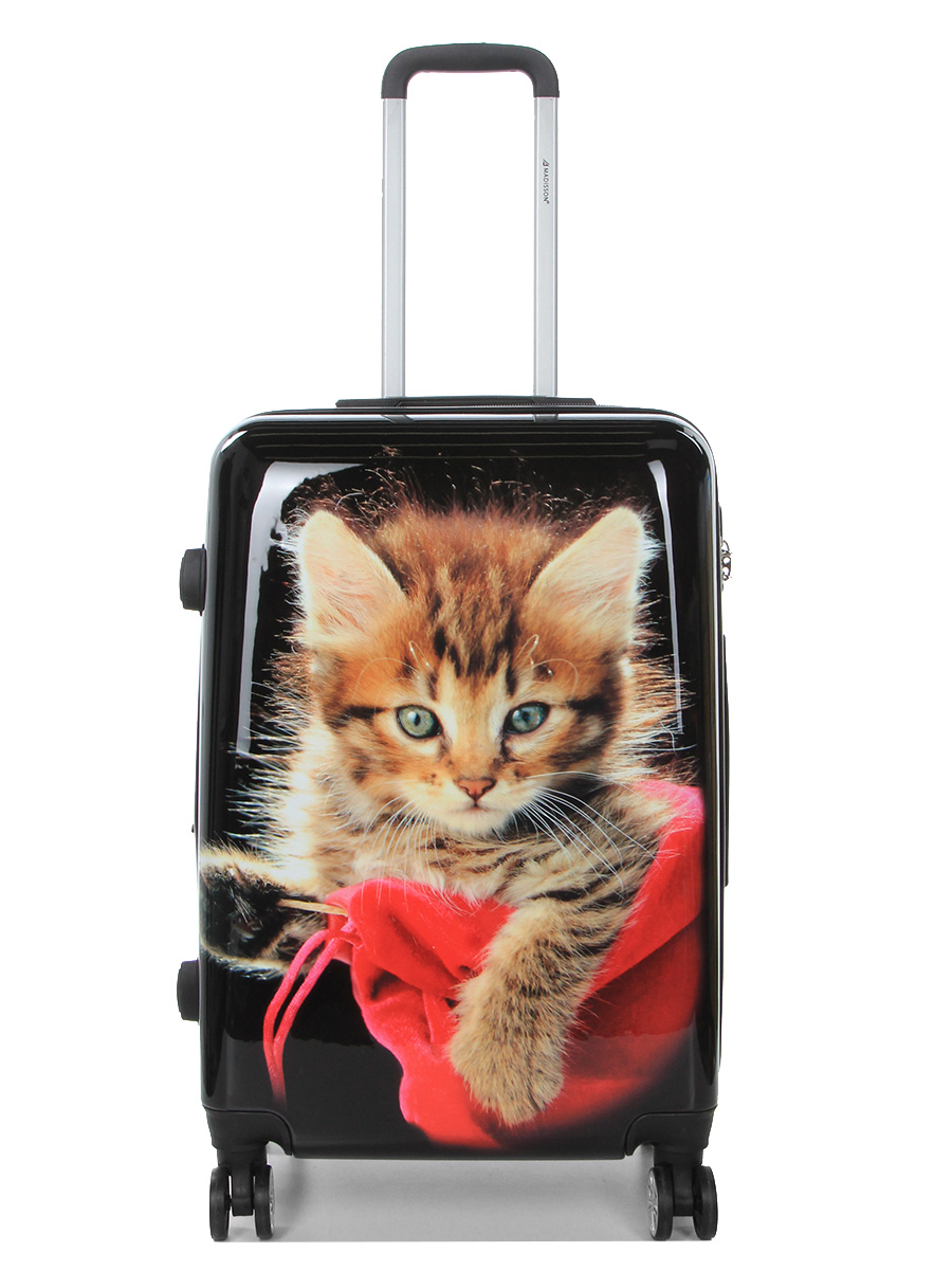 Valise Madisson Chaton 66 cm