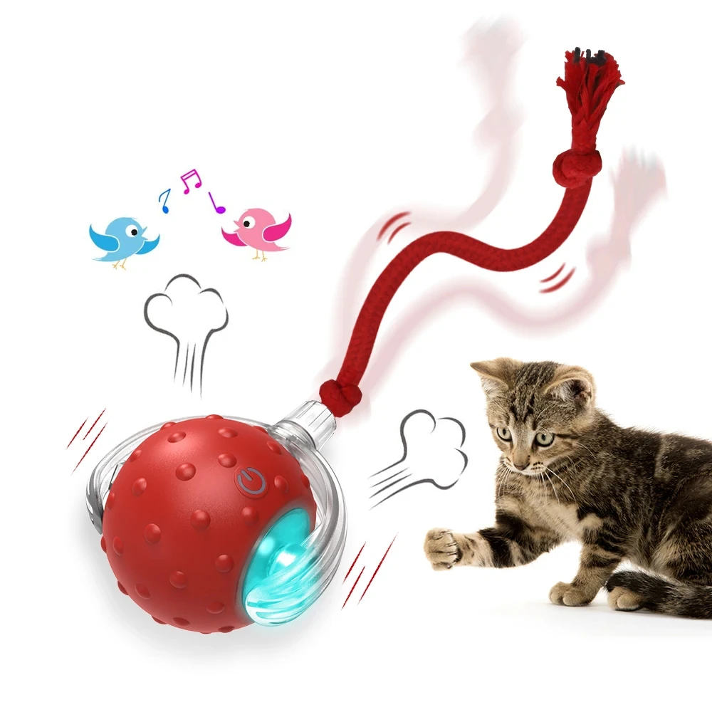 Magic cat ball