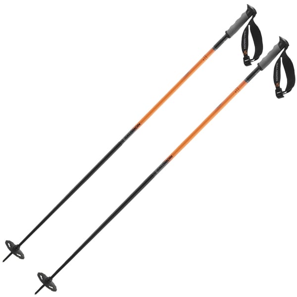 Bâton de ski SALOMON ARCTIC S3 XL GREY