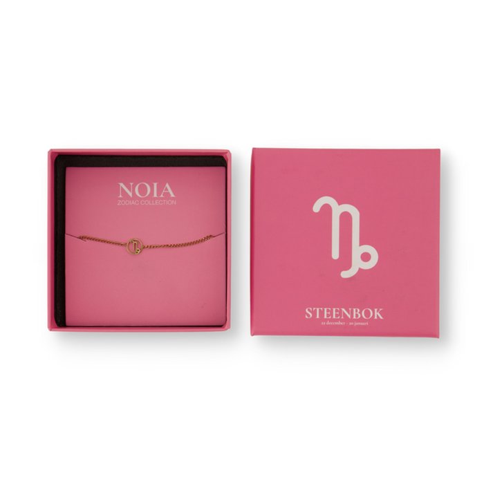 Noia Jewellery | Sterrenbeeld Steenbok