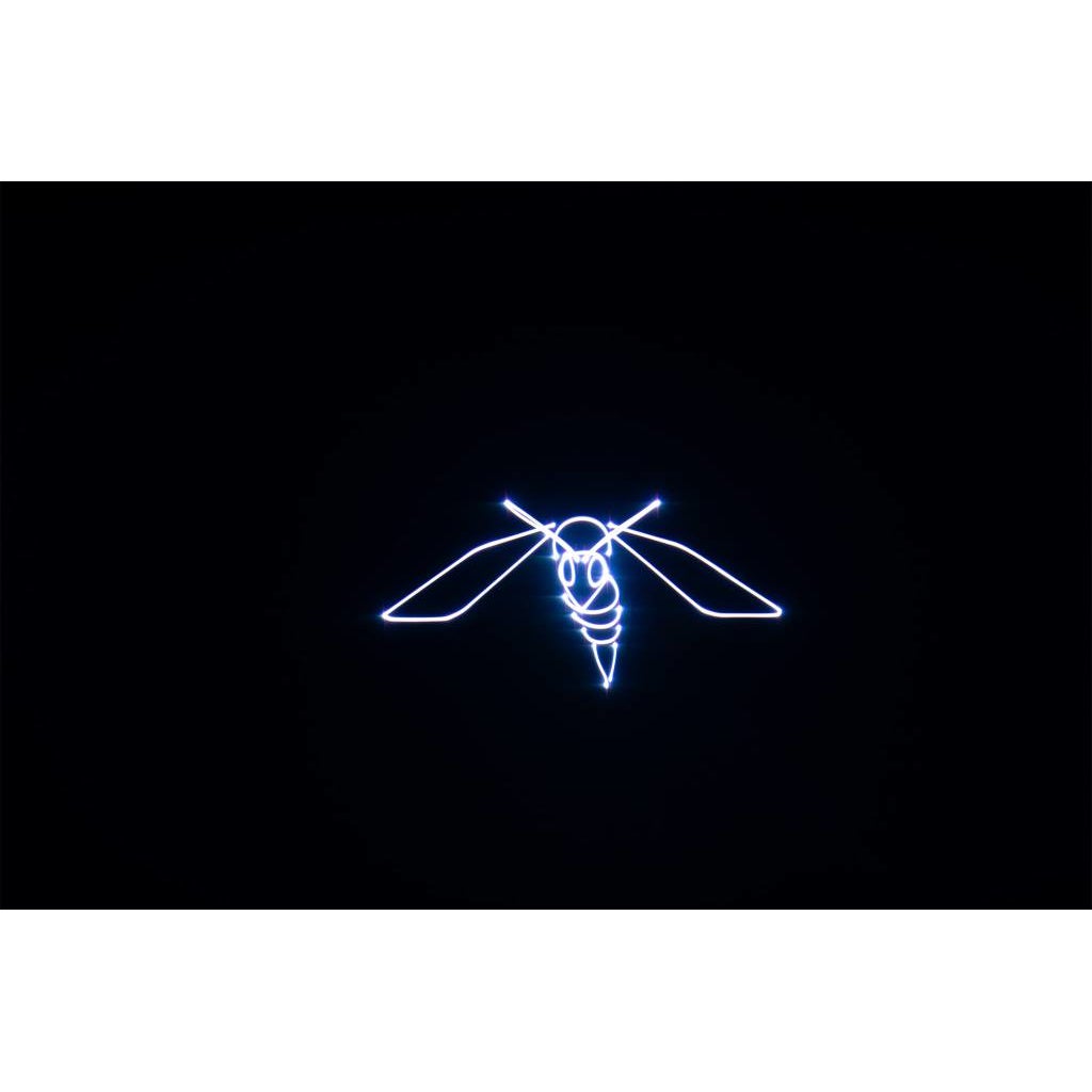 Laserworld DS-1000RGB MK5 laser