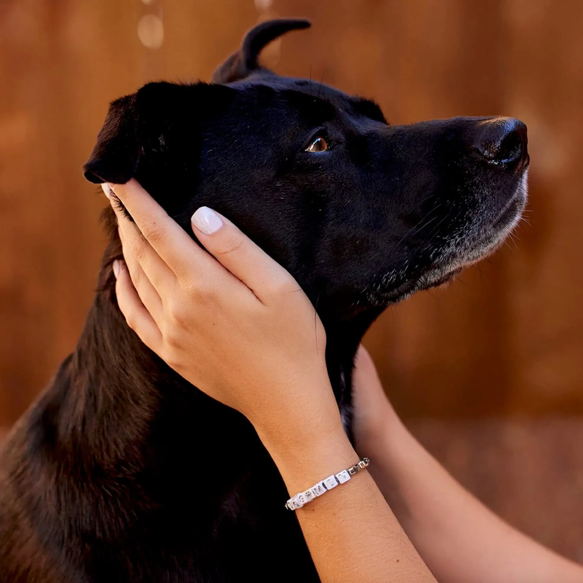 Puravida Bracelet Dog Mom Argent