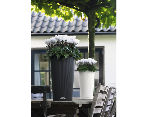 Lechuza Cilindro Color plantenbak, 56 cm hoog, van grijs kunststof, inclusief zelfbewateringssysteem, plantinzet, substraat en waterstandindicator.
