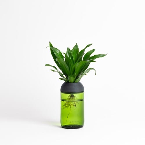 Pot transparent citysens vert noir