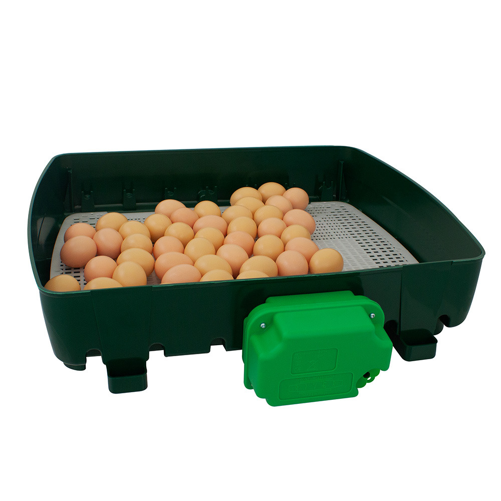 Couveuse automatique 49 oeufs - et 49