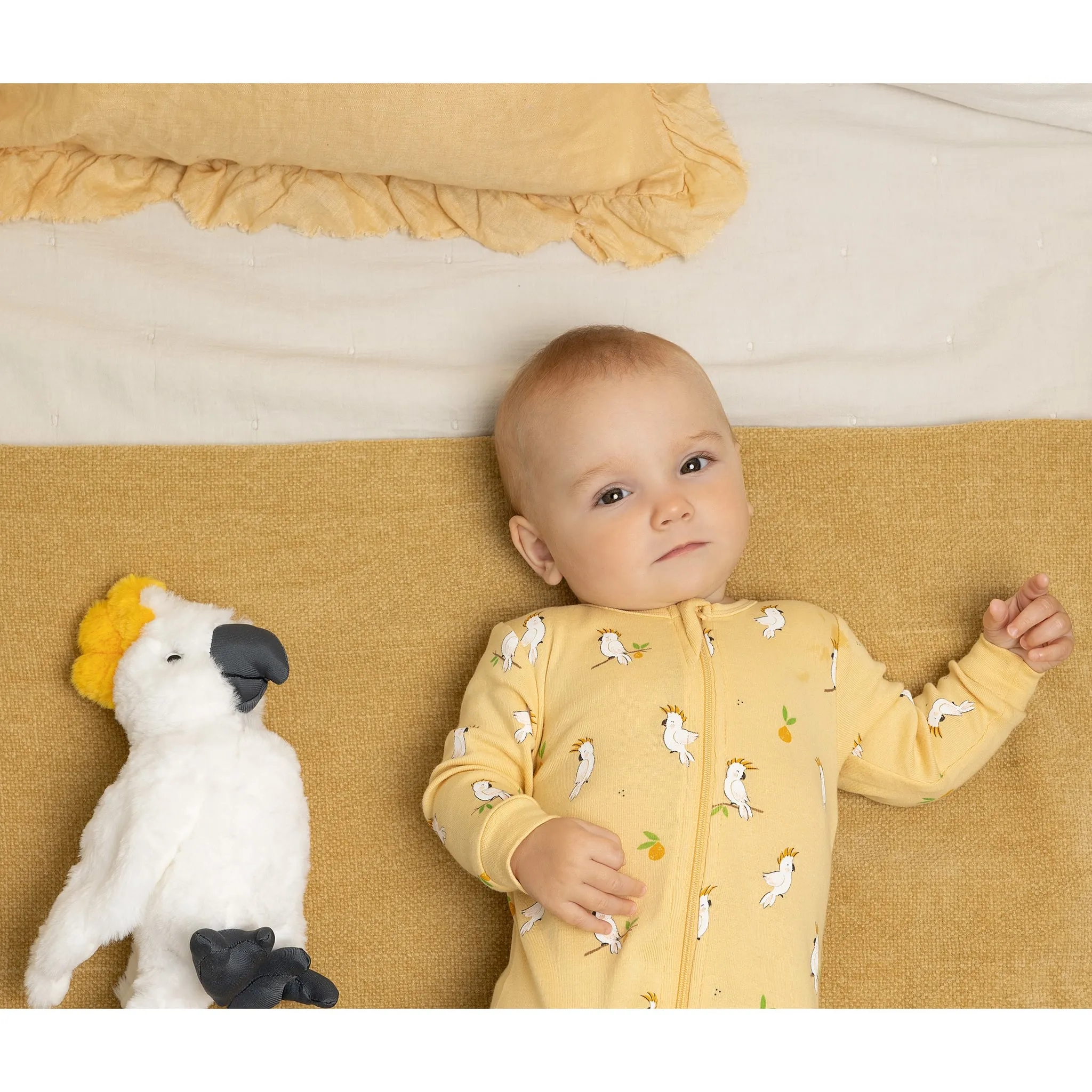Petit Lem Pyjama Cacatoès 0-24mois