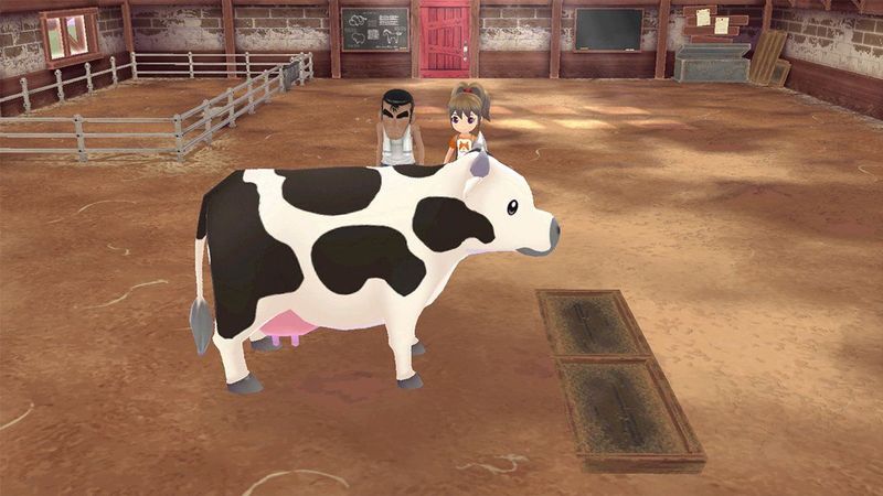 Story of Seasons: A Wonderful Life Limited Edition - Xbox Series X
