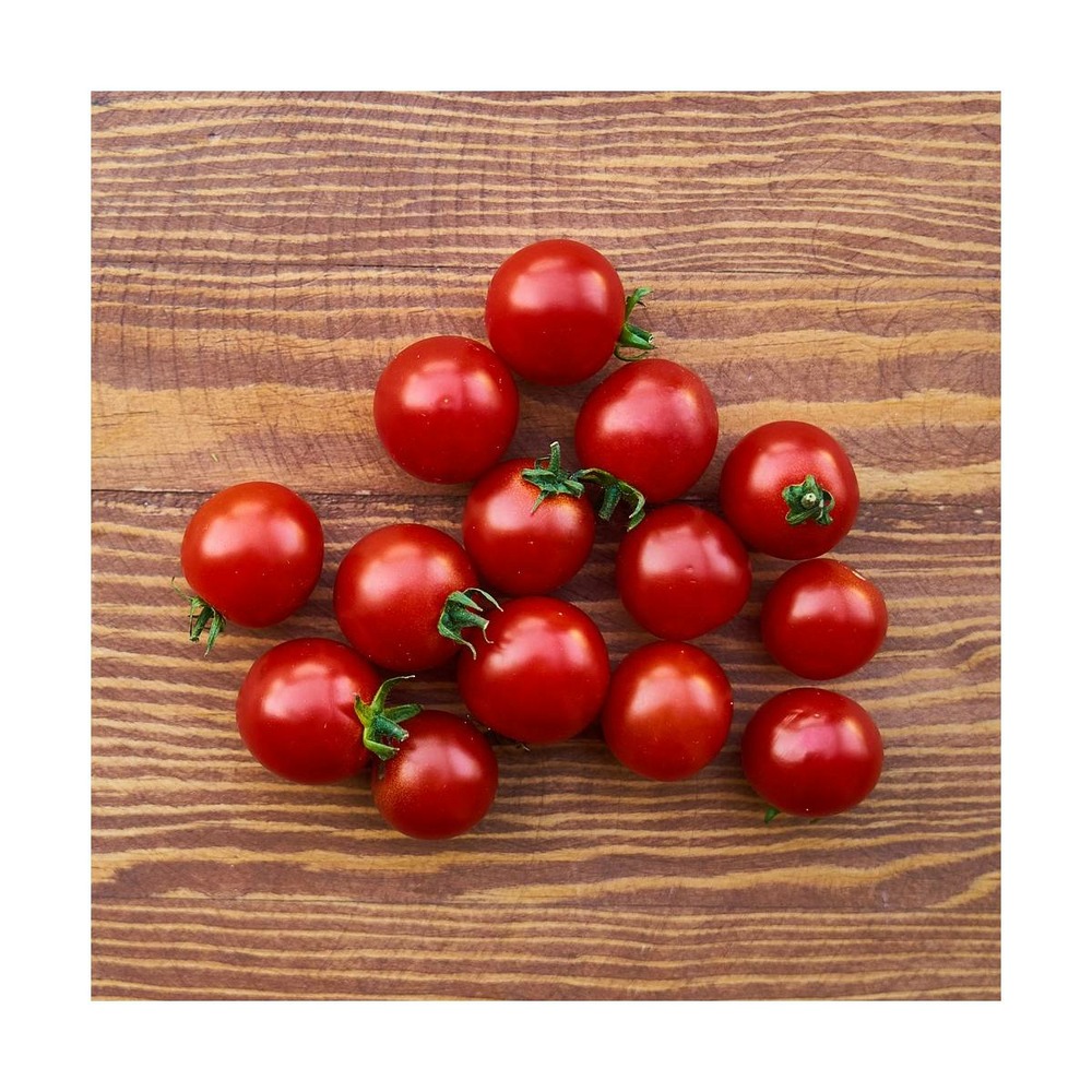 Graines de tomate cerise/solanum lycopersicum cerise[-]présemée