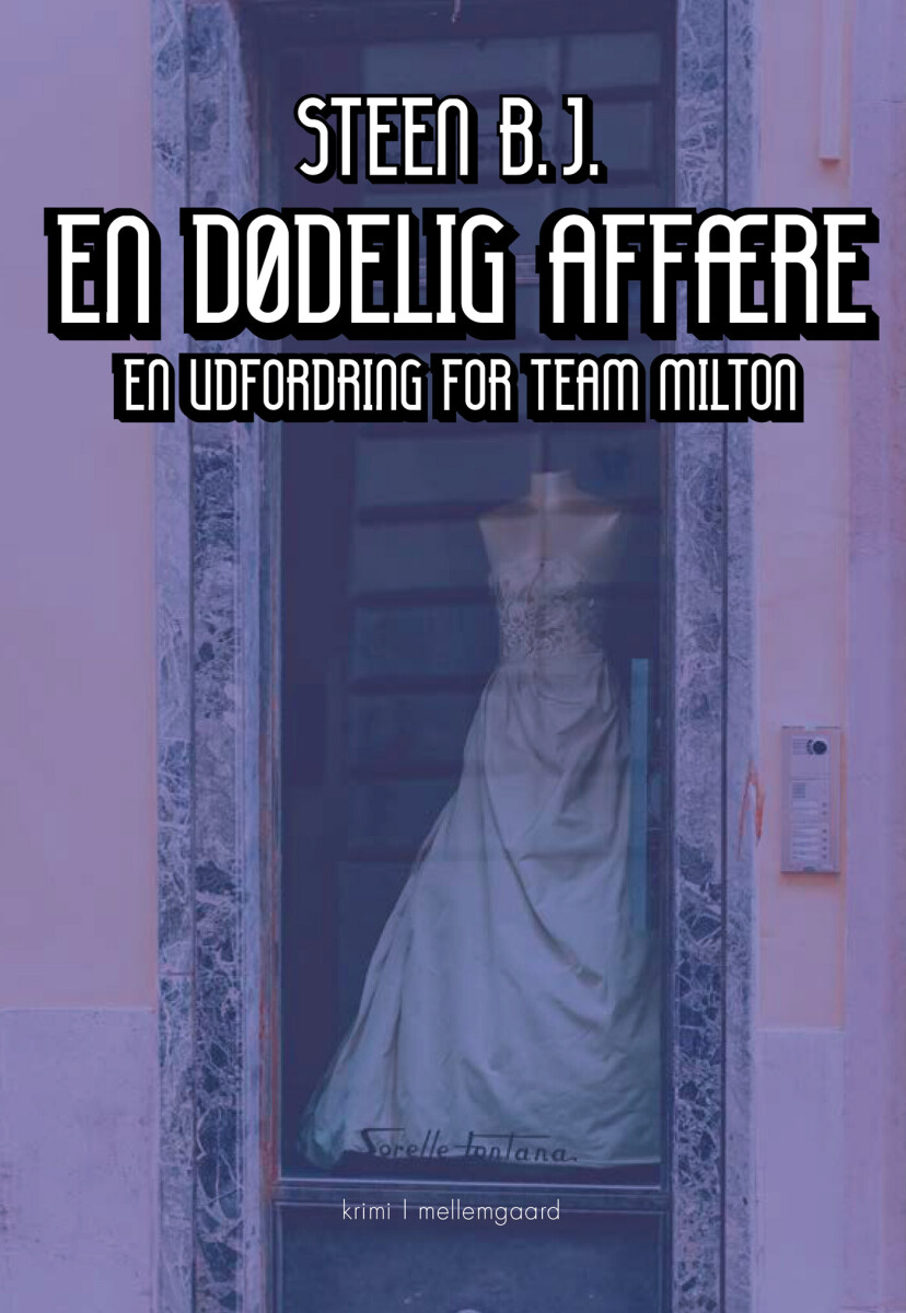 En Dødelig Affære - Steen B.j - Bog