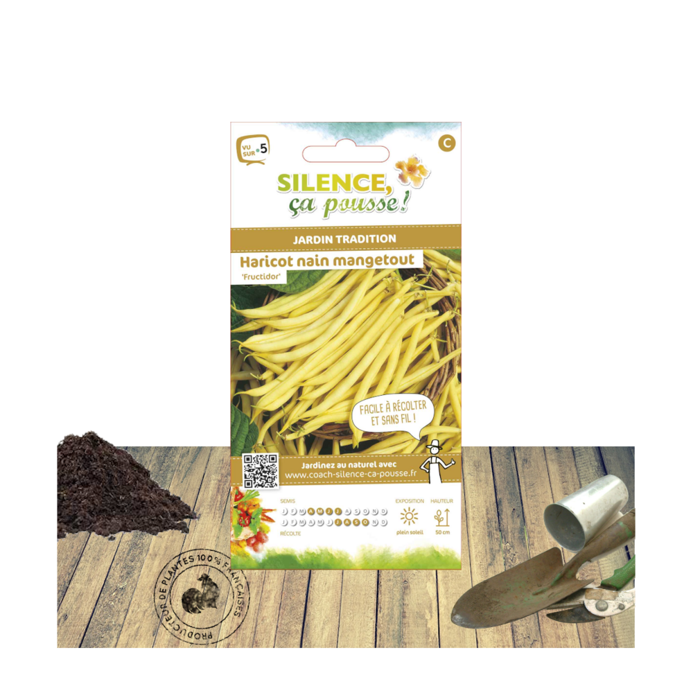 Graines de haricot nain beurre fructidor/phaseolus vulgaris nain beurre fructidor[-]sachet de 15 gr.