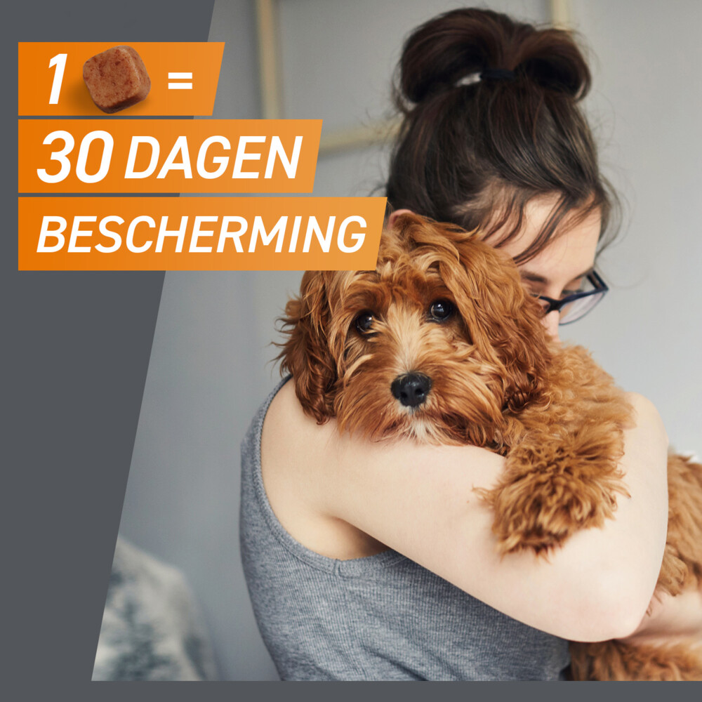 Frontpro Hond M 4-10 kg3 tabletten