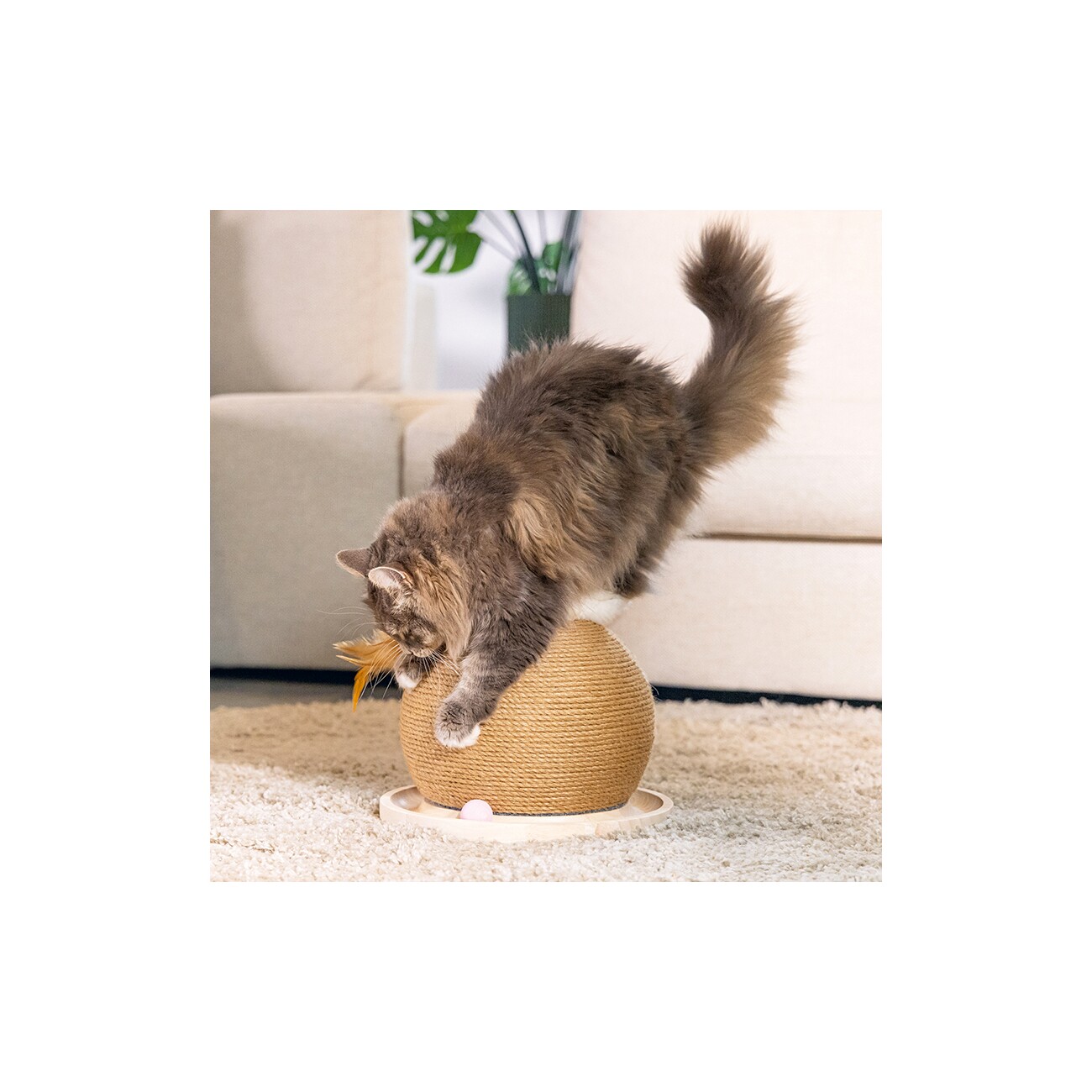 Designed by Lotte DBL Kratz- und Spielball Holz