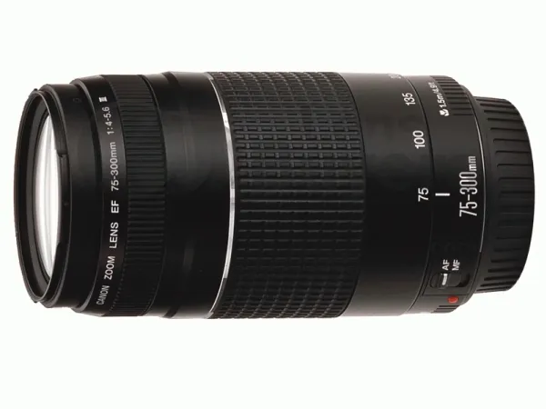 Canon EF - Telefoto zoom objektiv - 75 mm - 300 mm - f/4.0-5.6 III - Canon EF - for EOS 1000, 1D, 50, 500, 5D, 7D, Kiss F, Kiss X2, Kiss X3, Rebel T1i, Rebel XS, Rebel XSi