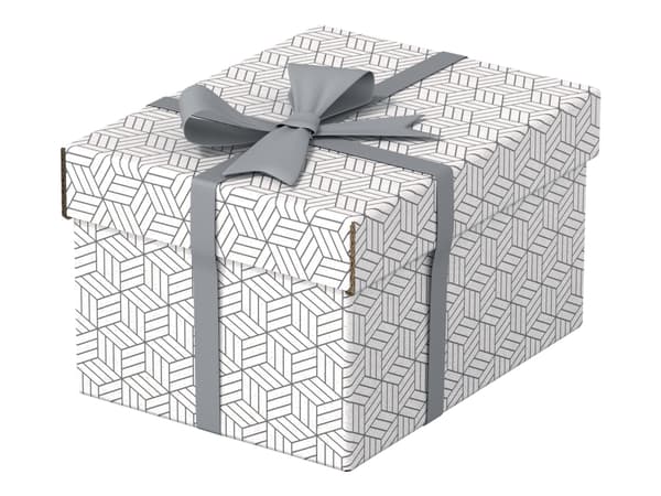 Esselte - Gaveeske - small - 25.5 cm x 20 cm x 15 cm - hvit - pakke av 3
