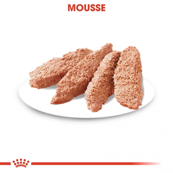Royal Canin Urinary Care - Pâtée pour chien