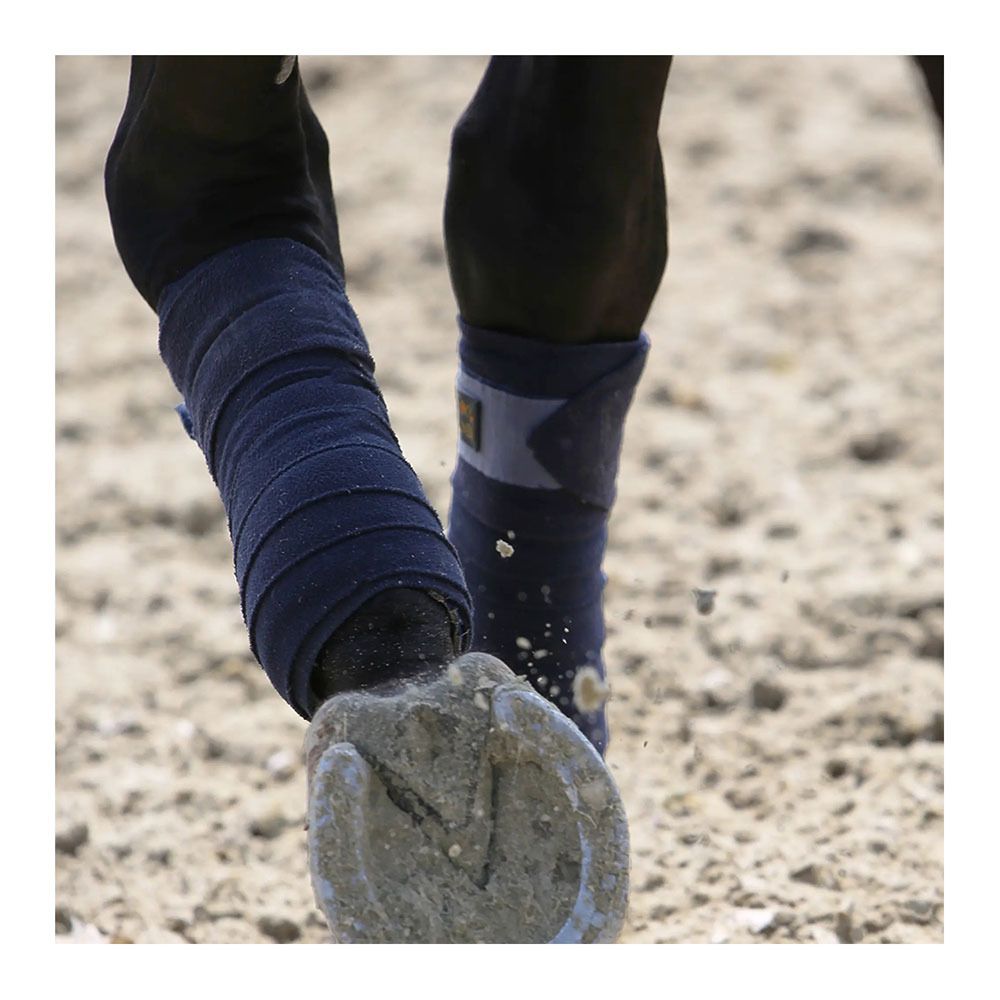 Kentucky POLAR FLEECE - Bandes de polo x4 marine