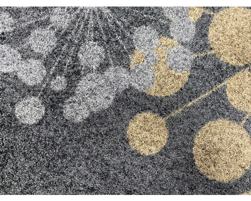 Vuilopvangende loper Create Three Paardenbloem antraciet 66x150 cm