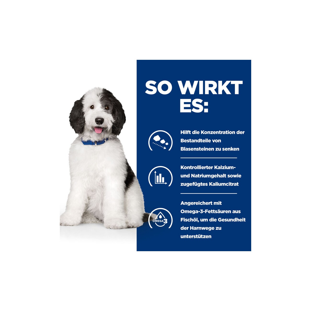 Hill's Prescription Diet c/d Multicare Canine Ragout mit Huhn und zugefügtem Gemüse 12x354g