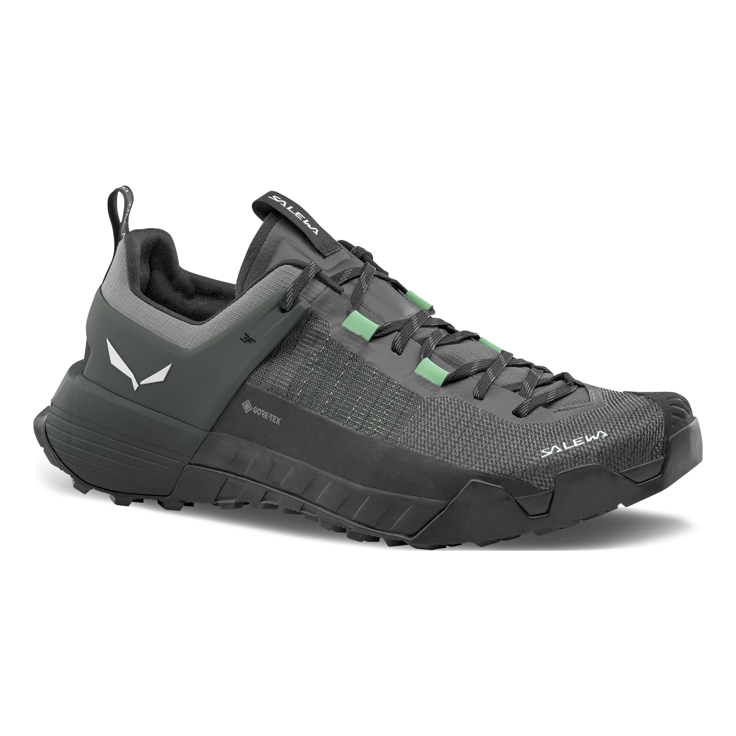 Wildfire NXT GORETEX® Schuh Herren