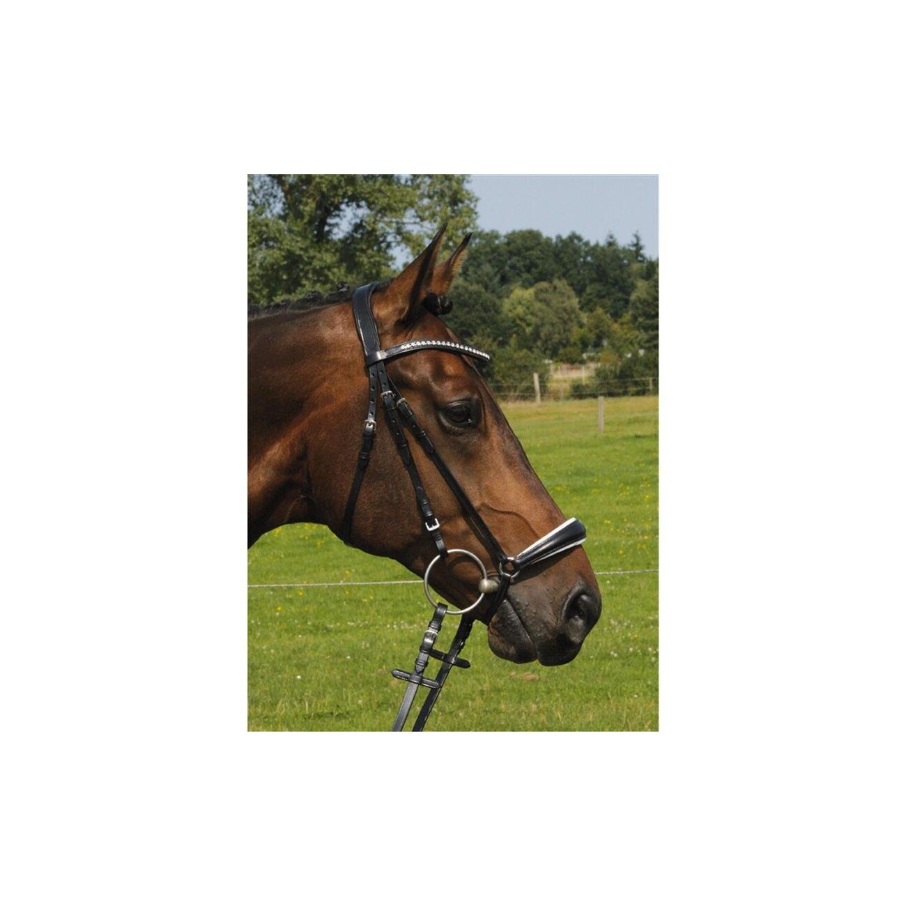 Hans Melzer Horse Equipment Hans Melzer Trense Valluhn schwarz/silber hannoversches Reithalfter weiß unterlegt WB EXTRA (KB-Kaltblut)