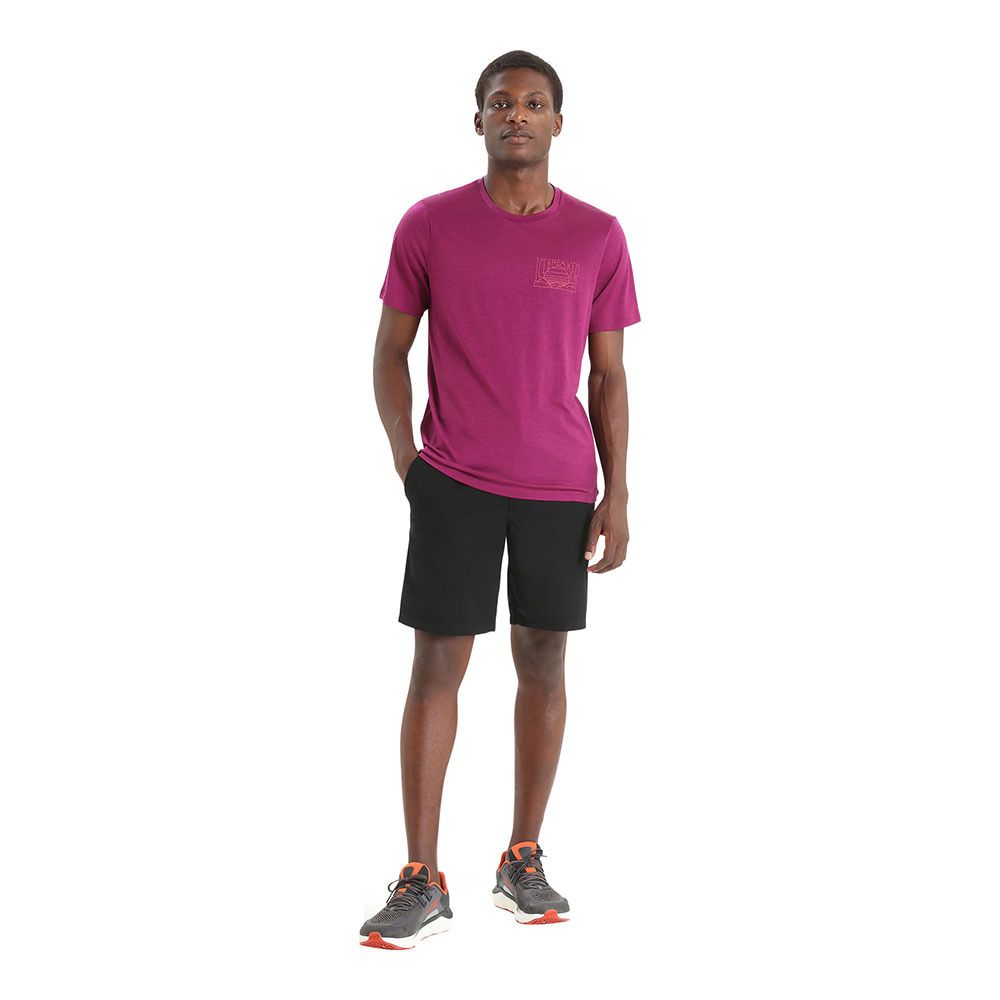 Icebreaker TECH LITE II - Tee-shirt Homme go berry