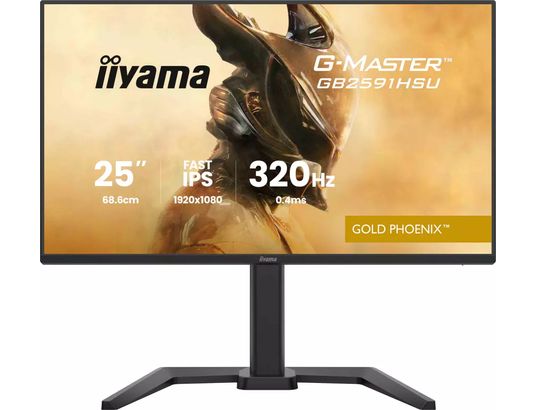 IIYAMA - Ecran 24.5 pouces Full HD G-Master GB2591HSU-B1
