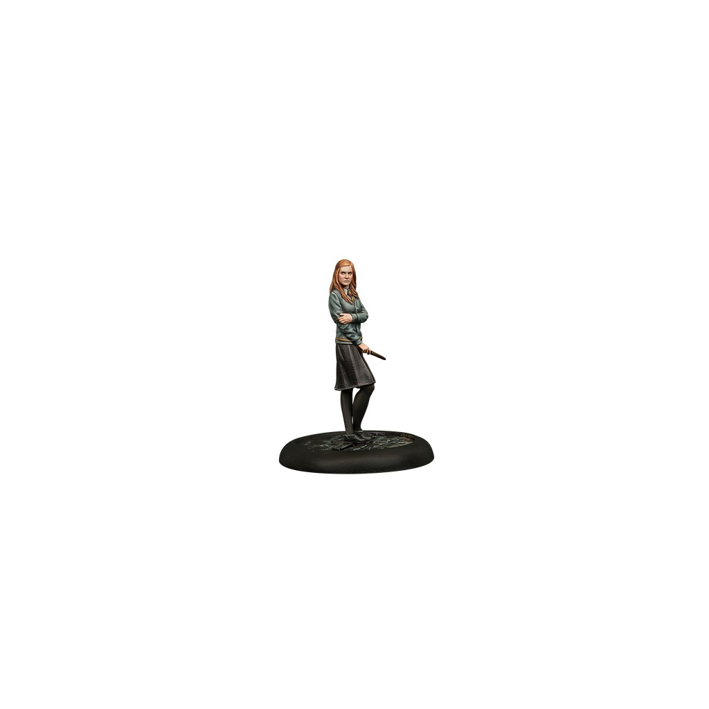 Harry Potter, Miniatures Adventure Game - Armée de Dumbledore