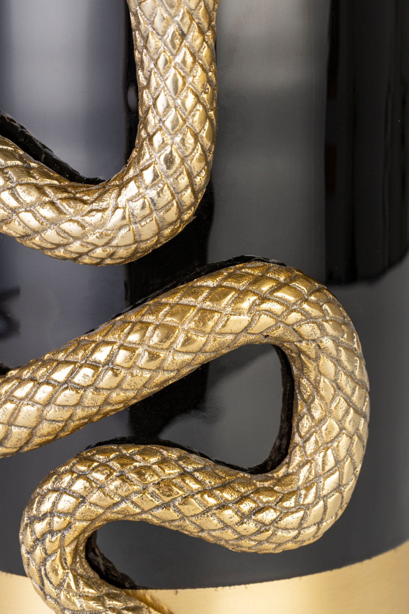 NEVER HURT A SNAKE Vaas M