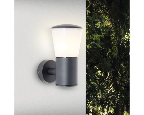 Buitenwandlamp, 1-lichts, 20x10,5 cm, antraciet/wit