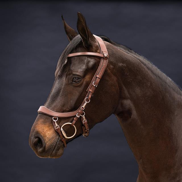 Hoofdstel PresTeq FaySport Bruin
