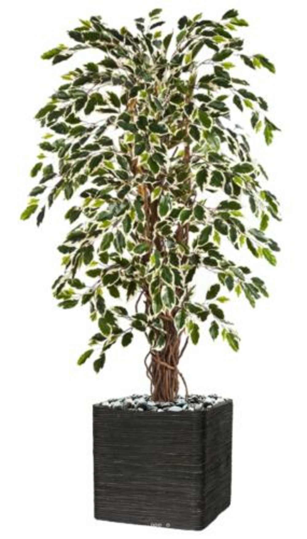 Ficus lianes artificiel panache h 120 cm 432 feuilles en pot - choisissez votre