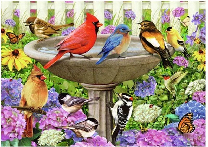 Ravensburger - Puzzel - Vogelbad - 500 Stukjes - Extra Groot