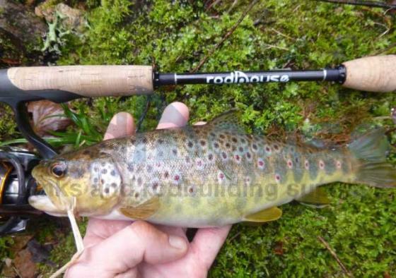 Blank TR69 Super Rozy Figaro 2m 0.3-3.5grs Rockfishing