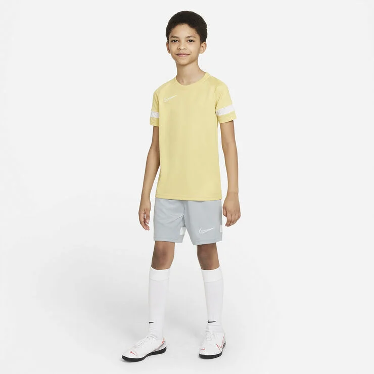 Nike Dri Fit Academy Traeningsshorts Grå