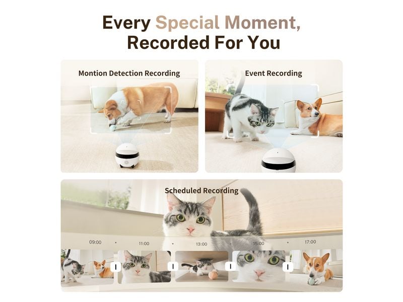 ENABOT Rola Mini Pet Monitor 2k Cam Kleine fahrbare Überwachungskamera