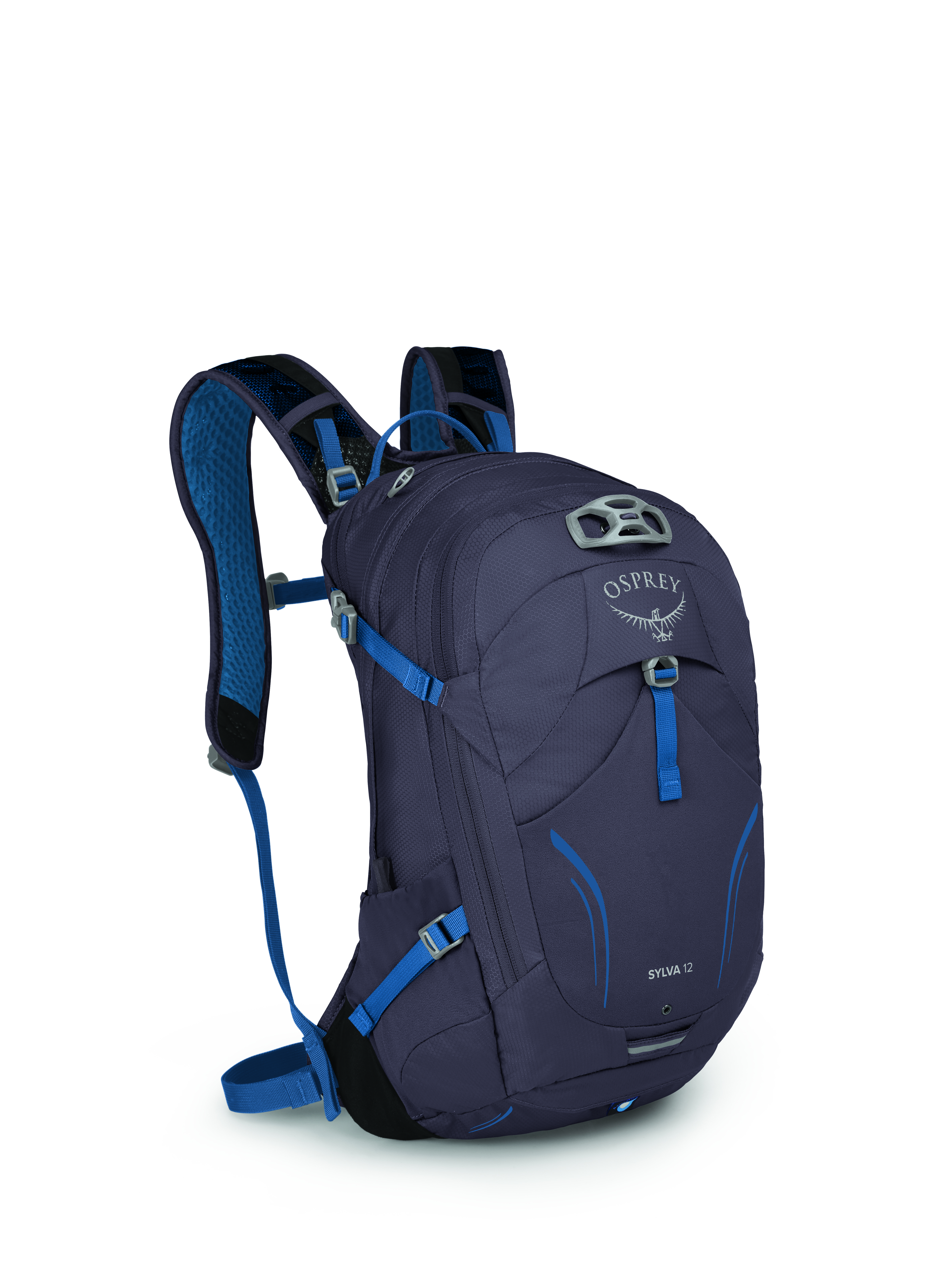 Sylva 12