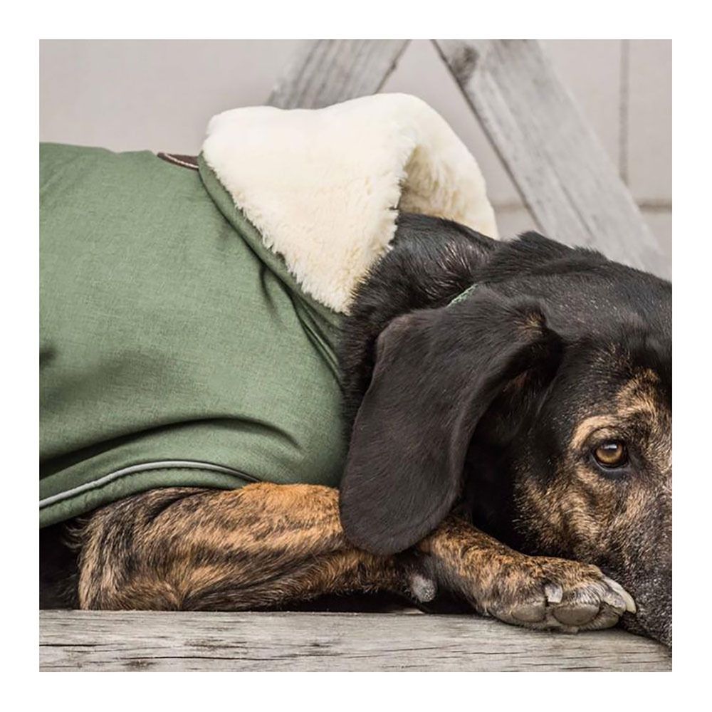 Kentucky PINA - Manteau pour chien vert sapin