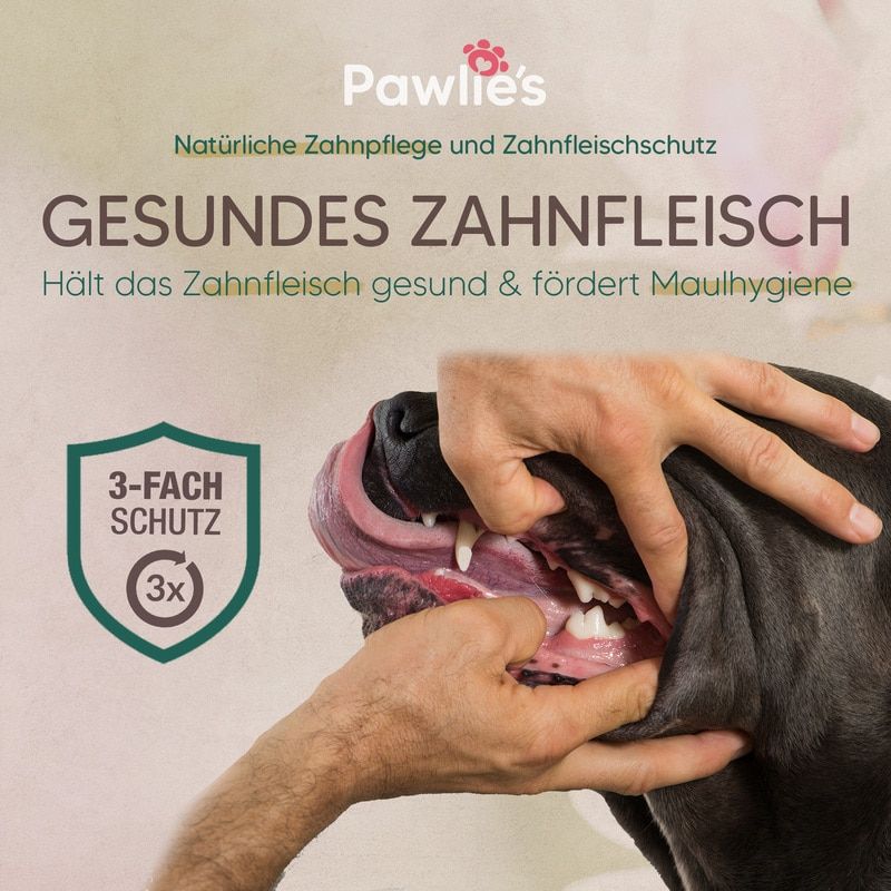 Pawlie's Zahnpasta & Zahnpflege