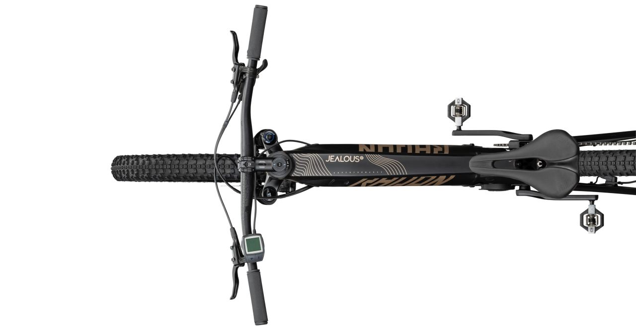Radon Jealous Hybrid 8.0 625 kaufen | Bike-Discount