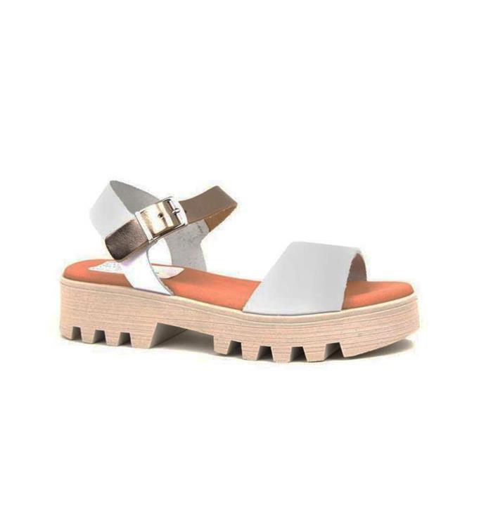 Braqeez 423002 Sea Shell WIT