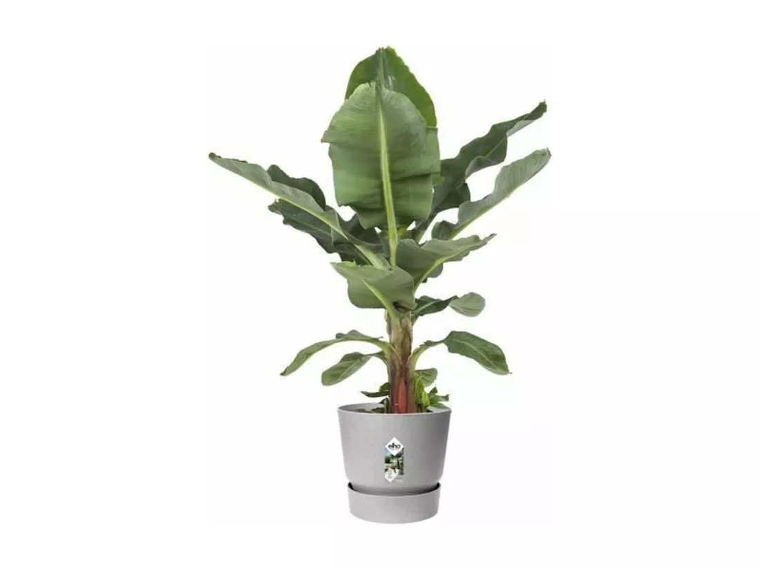 Pot de fleurs rond 25 - Extérieur Ø 24,5 x 23 cm - Gris béton vivant