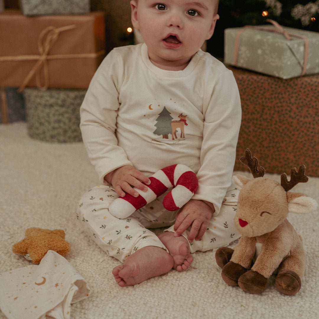 little dutch giftset newborn kerst