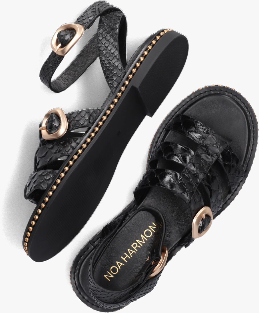 zwarte noa harmon sandalen 9737