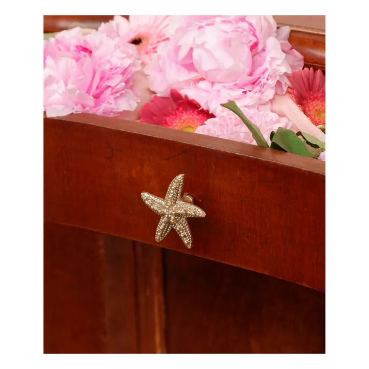 Doing Goods Poignée de porte en laiton Seastar Ruby | Gold