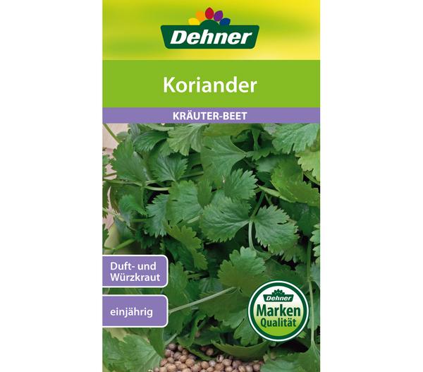 Dehner Samen Koriander