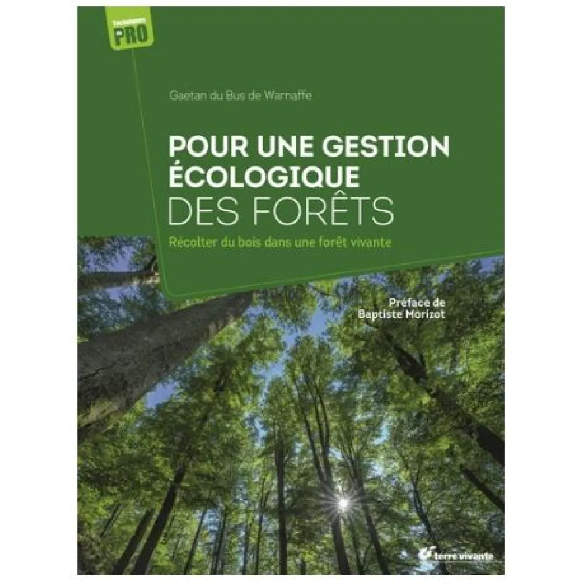 Pour une gestion écologique des forêts : récolter du bois dans une forêt vivante