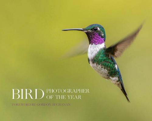 Bird Photographer of the Year - Bird Photographer of the Year (Hardback)